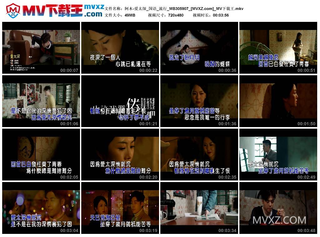 阿木-爱太深_国语_流行_MB305907